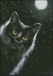(image for) Spooky Night